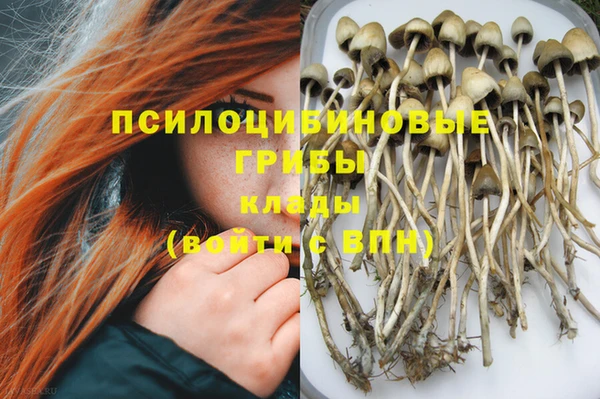 стафф Заволжск