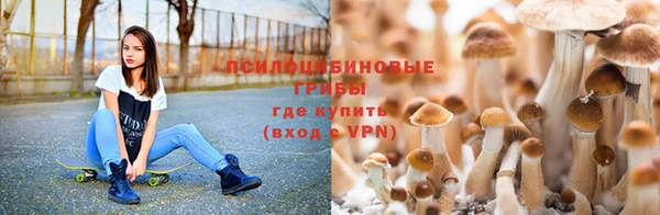 каннабис Зерноград