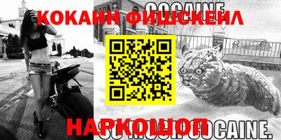 кокс Кингисепп