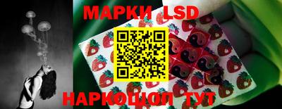 mdpv Кимры