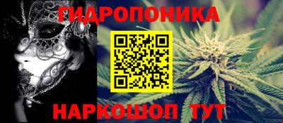mdpv Кимры