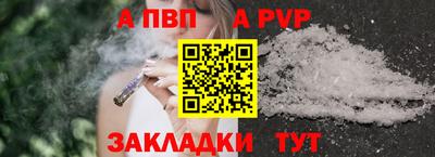 кокс Кингисепп