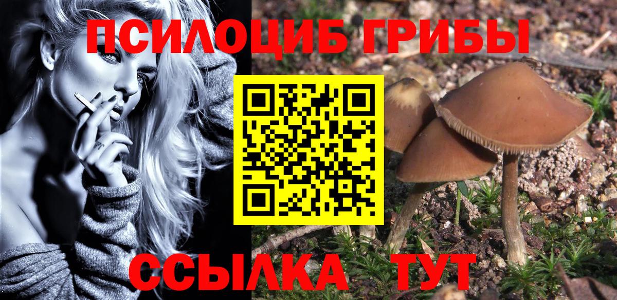 Псилоцибиновые грибы Psilocybine cubensis Искитим