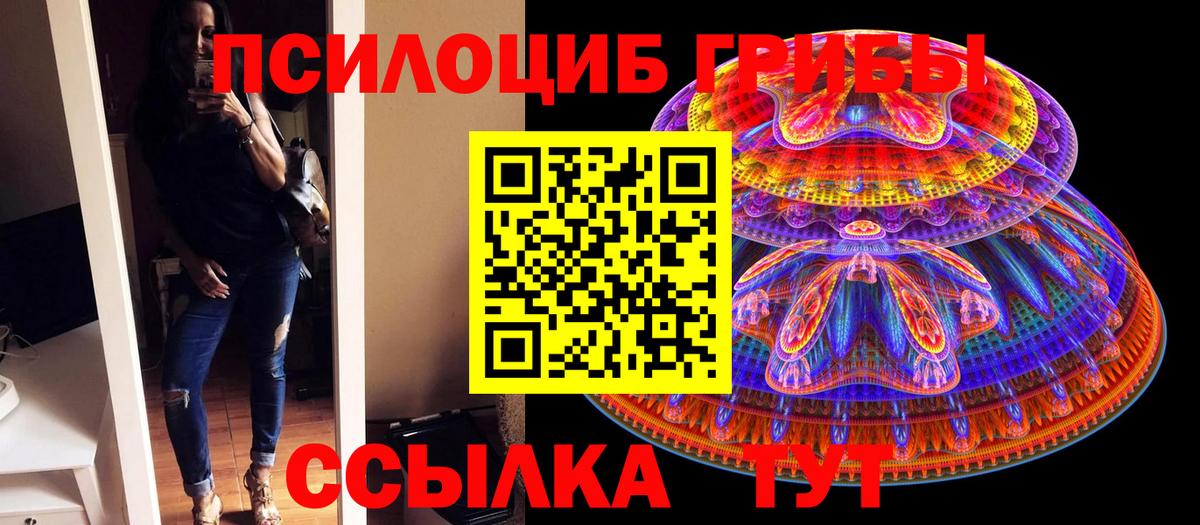 Галлюциногенные грибы мицелий  Галлюциногенные грибы Psilocybine cubensis  Искитим  Вход с VPN 
